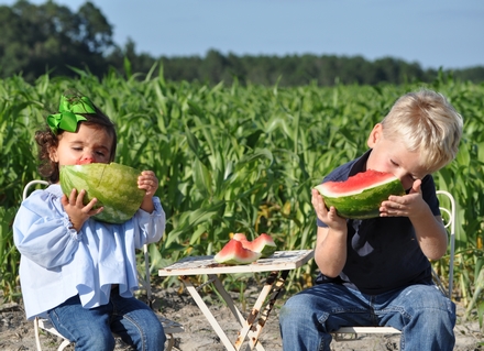 WatermelonKids_129_440.jpg